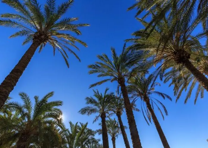 Beatriz Charming * טורמולינוס